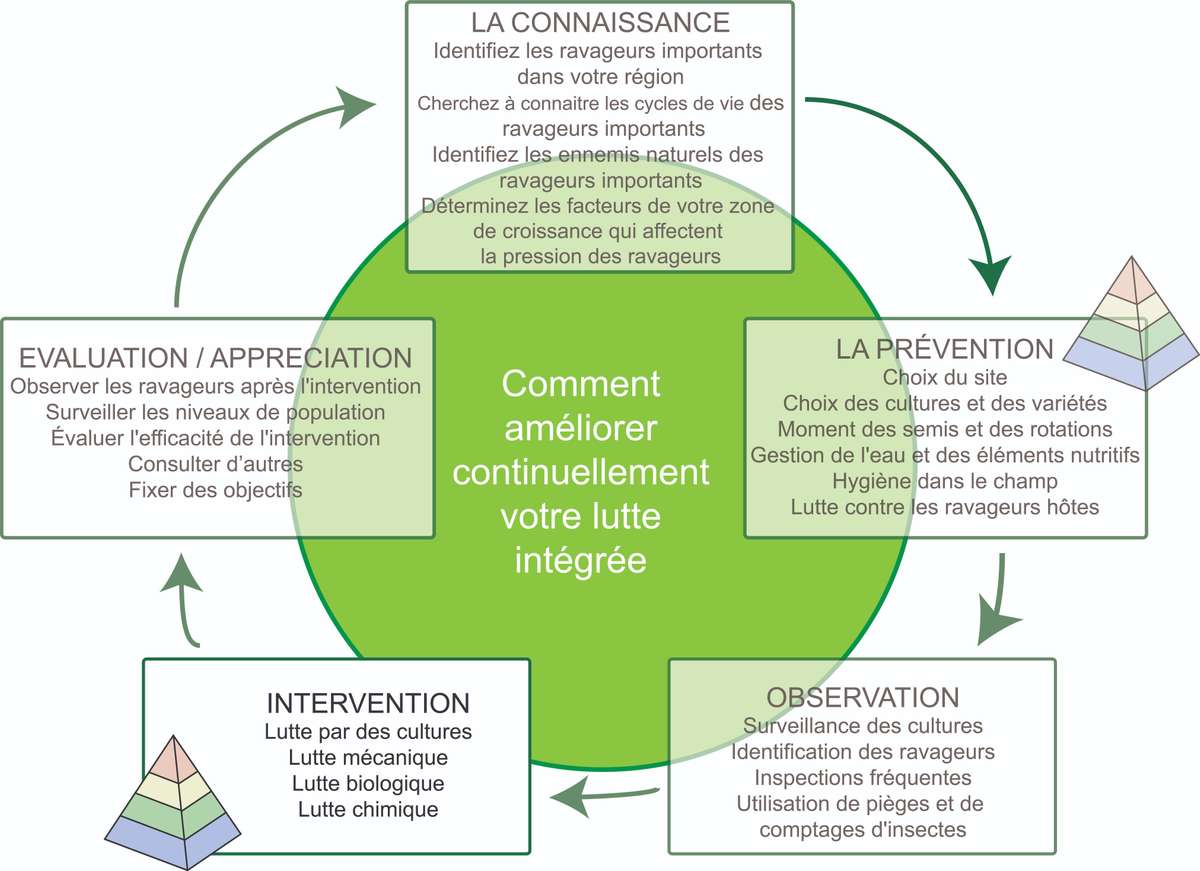 EDN152 French Figure 1